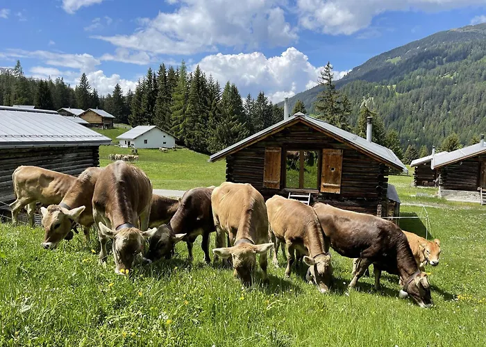 Tech-free Haven Got Spess Lenzerheide Dağ evi *